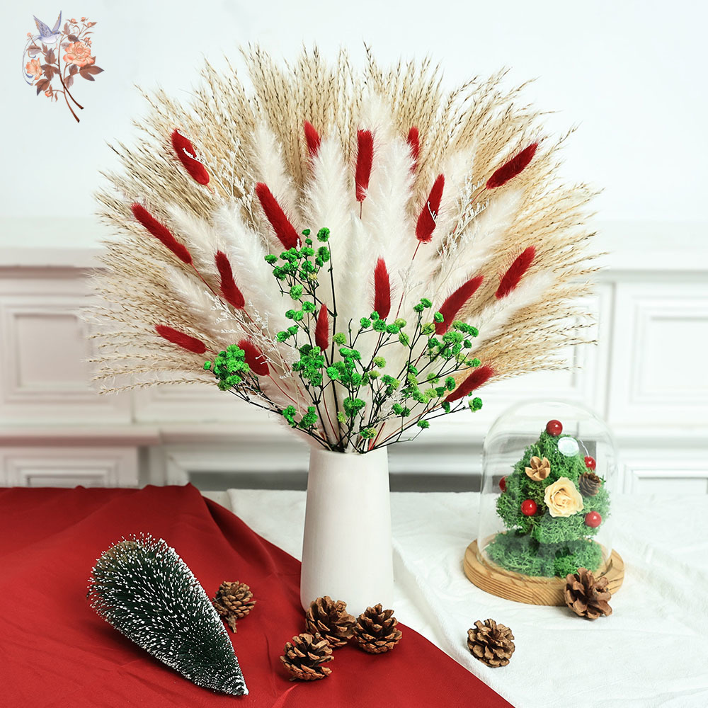 Dried Pampas Bundle - 55pcs Dried Flowers Bouquet Christmas Decorations