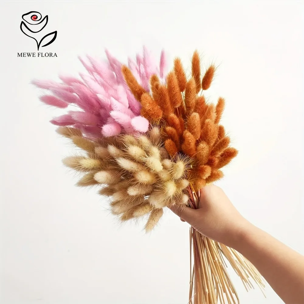 90pcs Mixed 3 Colors Bunny Tai - огляд і ціна Dried Pampas Bundle