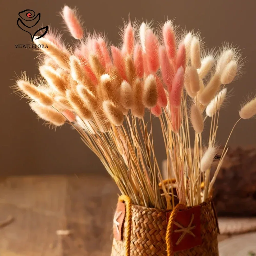 90pcs Mixed 3 Colors Bunny Tai - огляд і ціна Dried Pampas Bundle