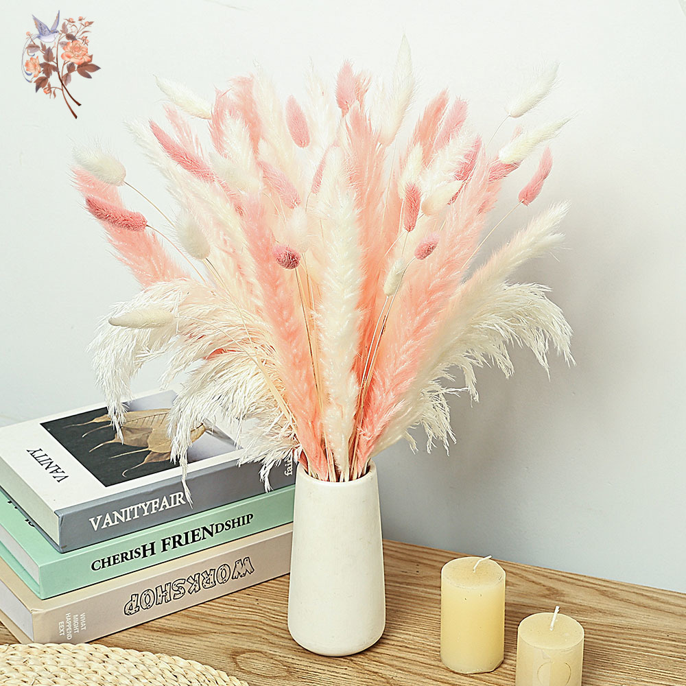 62 Pieces White Reeds Pink Rab - огляд і ціна Dried Pampas Bundle