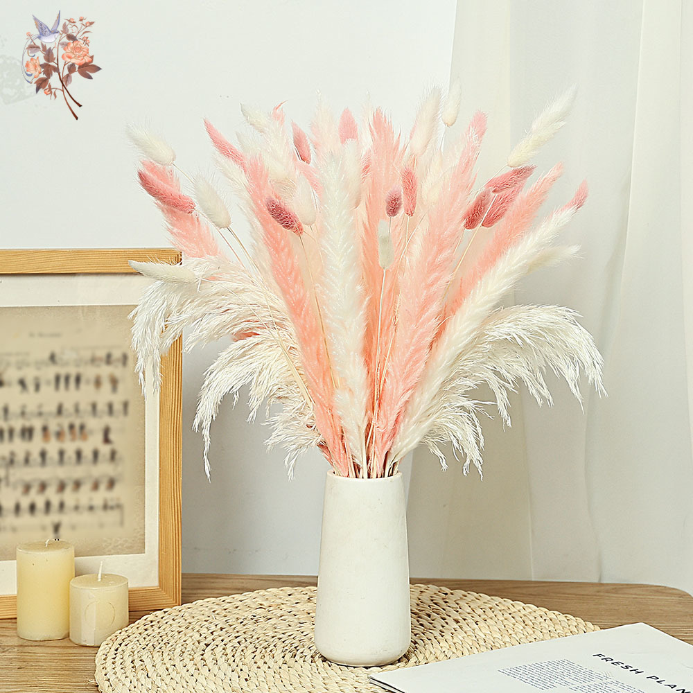 62 Pieces White Reeds Pink Rab - огляд і ціна Dried Pampas Bundle