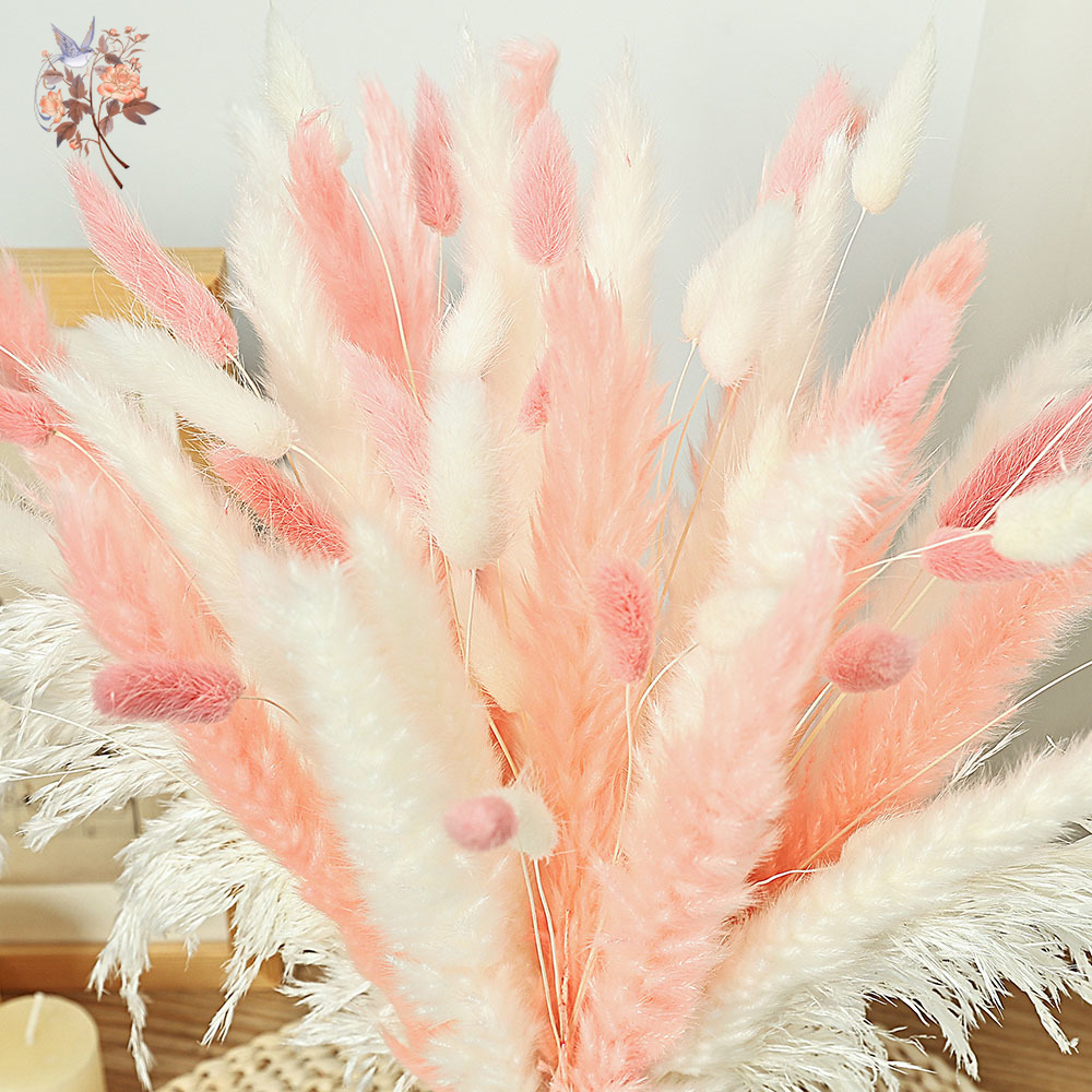 62 Pieces White Reeds Pink Rab - огляд і ціна Dried Pampas Bundle