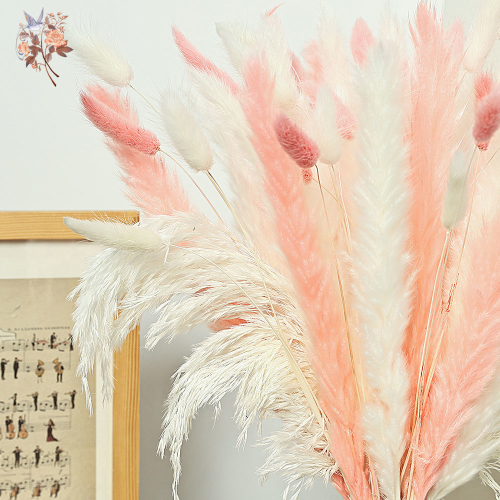 62 Pieces White Reeds Pink Rab - огляд і ціна Dried Pampas Bundle