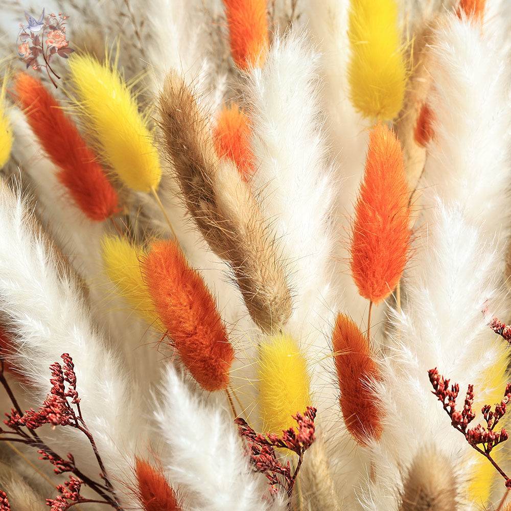 85 Pieces Natural Fluffy Autum - огляд і ціна Dried Pampas Bundle