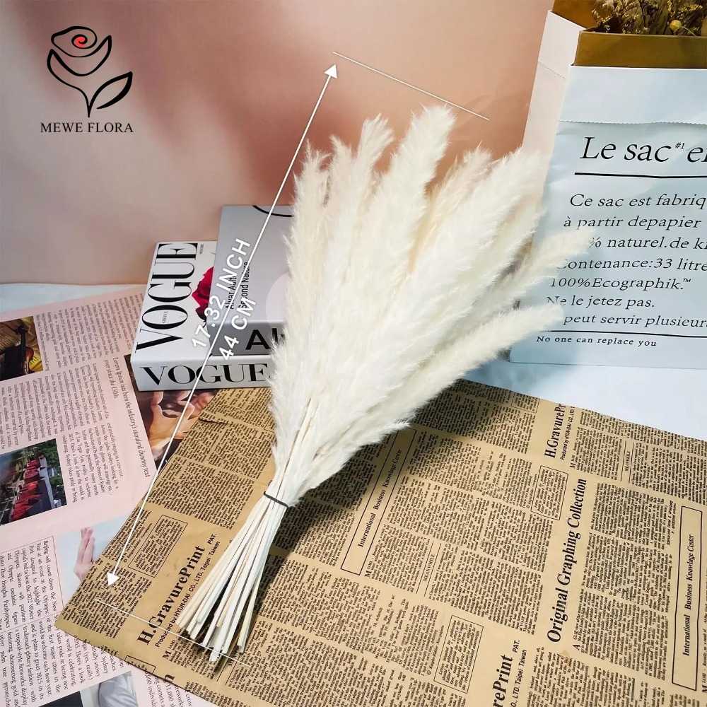 20pcs Fluffy Pampas Grass Reed - огляд і ціна Dried Pampas Bundle