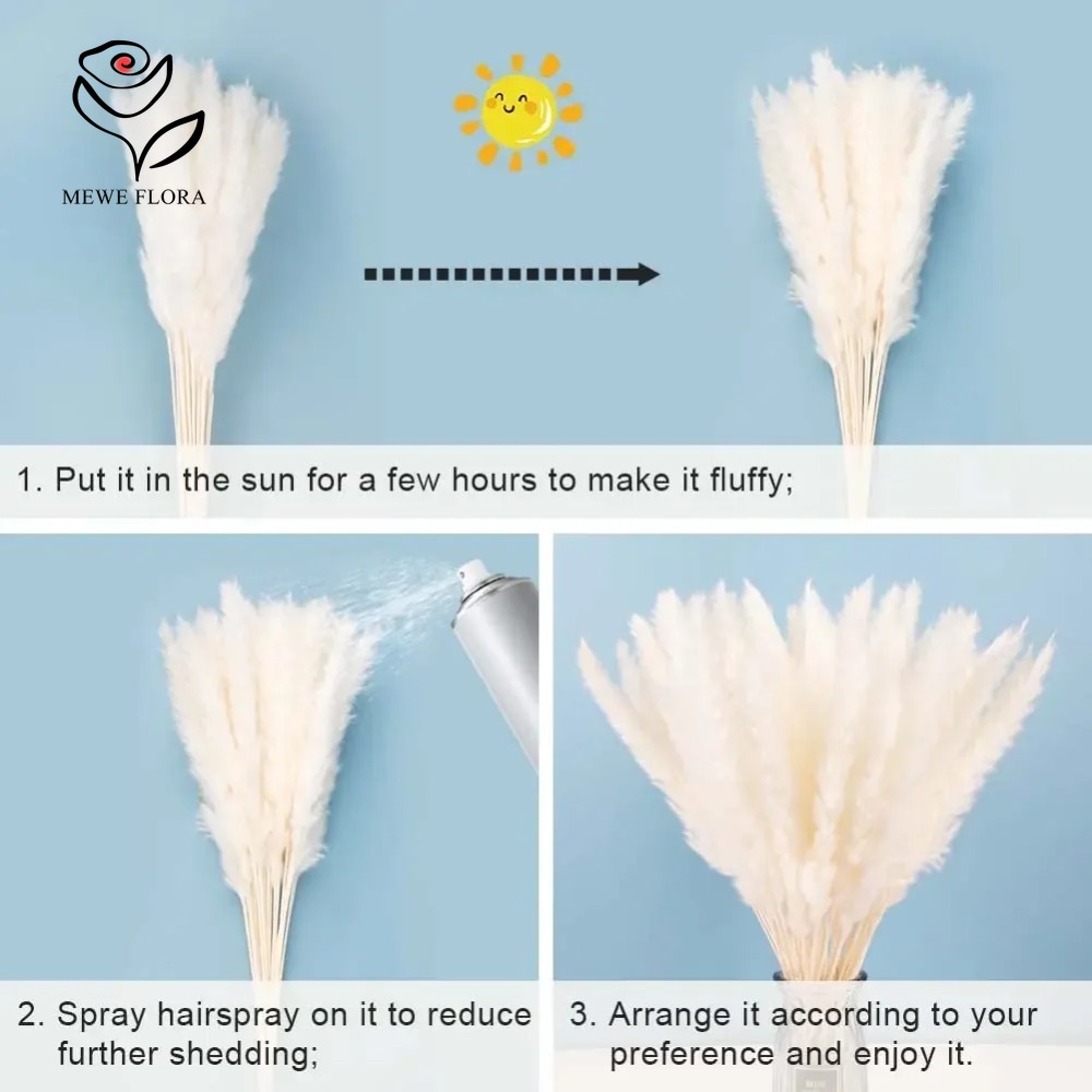 20pcs Fluffy Pampas Grass Reed - огляд і ціна Dried Pampas Bundle