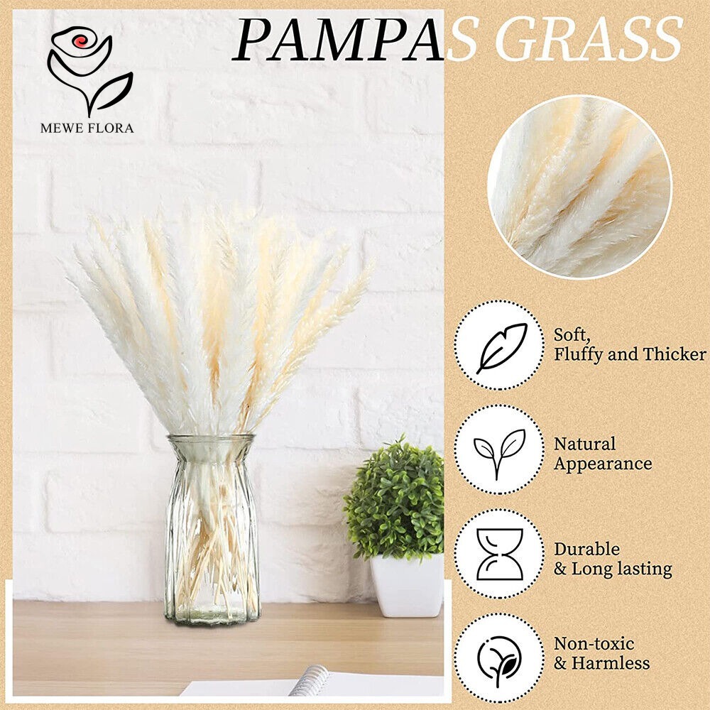 20pcs Fluffy Pampas Grass Reed - огляд і ціна Dried Pampas Bundle