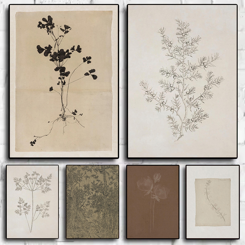 Vintage Minimalist Olive Branc - огляд і ціна Interior Design Sketch