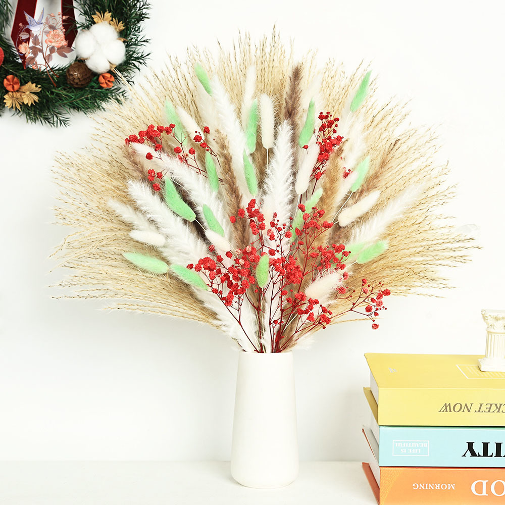 70 Stems Fluffy Green Red Pamp - огляд і ціна Dried Pampas Bundle
