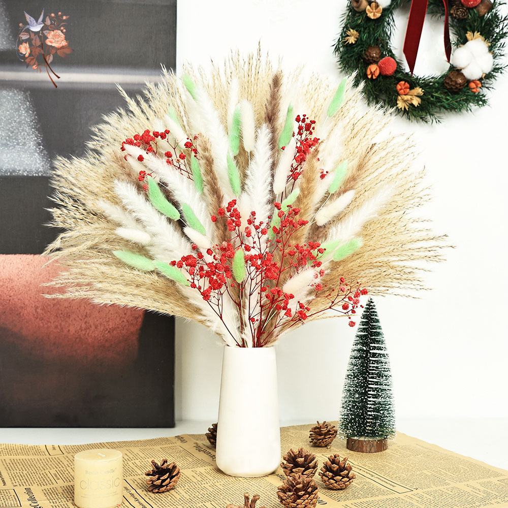 70 Stems Fluffy Green Red Pamp - огляд і ціна Dried Pampas Bundle