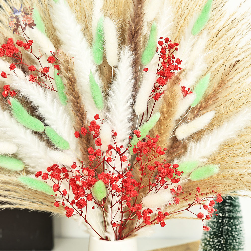 70 Stems Fluffy Green Red Pamp - огляд і ціна Dried Pampas Bundle