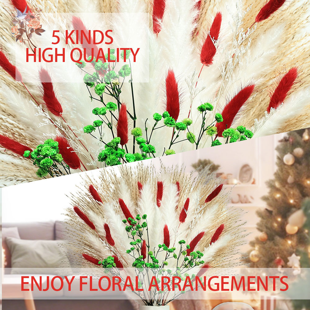 55pcs Dried Flowers Bouquet Ch - огляд і ціна Dried Pampas Bundle