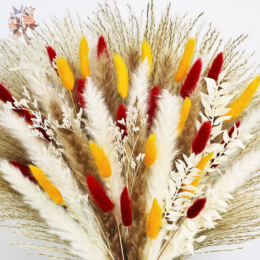 70 Stems Natural Fluffy Pampas - огляд і ціна Dried Pampas Bundle