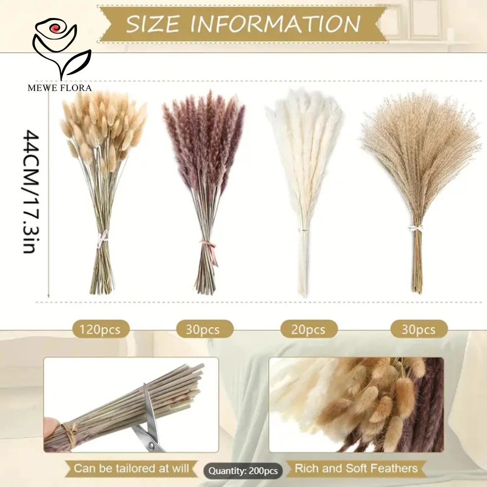 200Pcs Dried Pampas Bunny Tail - огляд і ціна Dried Pampas Bundle
