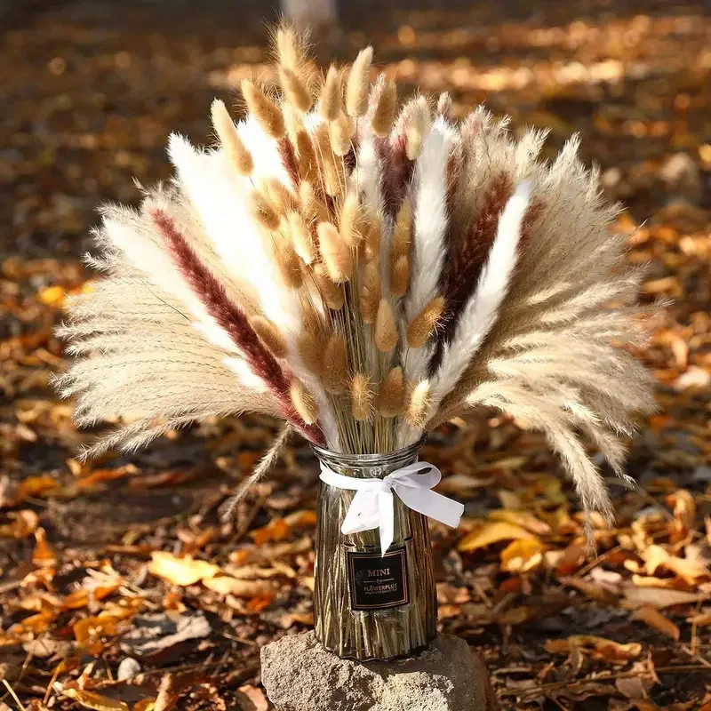 200Pcs Dried Pampas Bunny Tail - огляд і ціна Dried Pampas Bundle